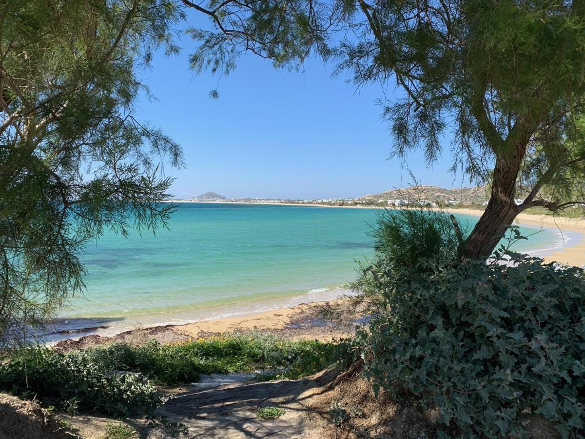 Villa Paradise In Naxos Плака Экстерьер фото
