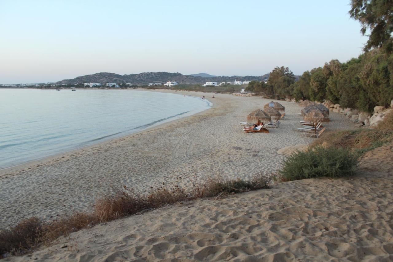 Villa Paradise In Naxos Плака Экстерьер фото