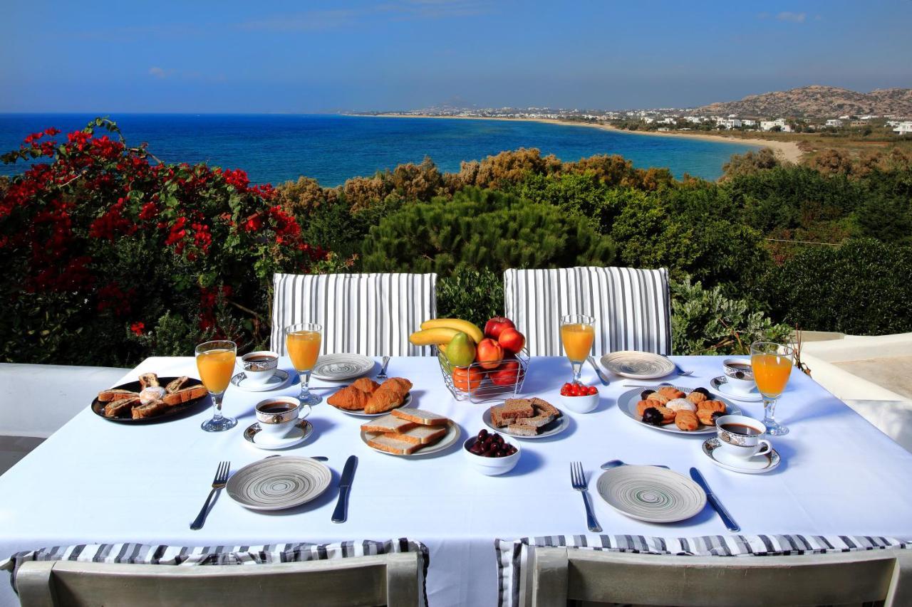Villa Paradise In Naxos Плака Экстерьер фото