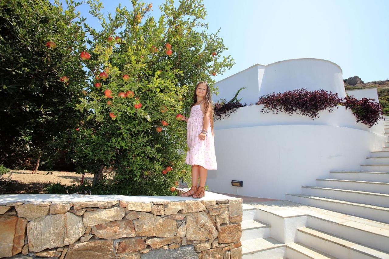 Villa Paradise In Naxos Плака Экстерьер фото