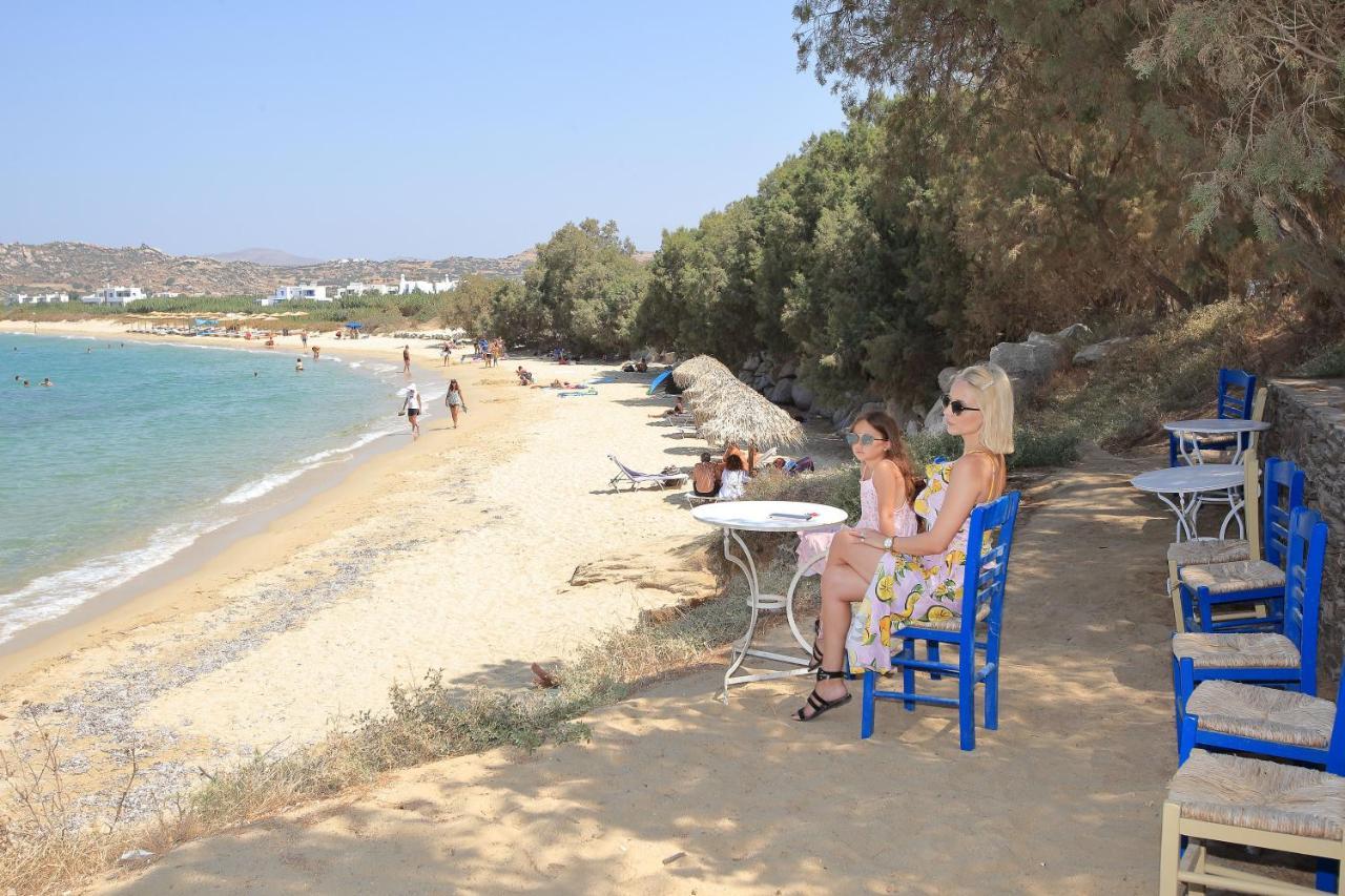 Villa Paradise In Naxos Плака Экстерьер фото
